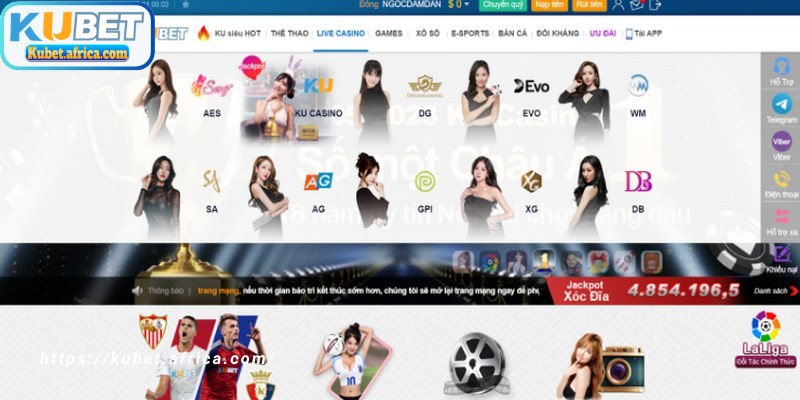 Trở thành đối tác đại lý Kubet là cơ hội để bạn nhận mức hoa hồng cao 